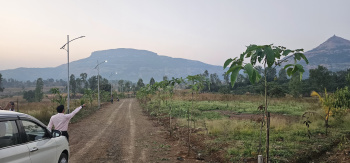 Farmhouse plots Trimbak Pahine wada road opposite harihar fort vhery beautiful location
