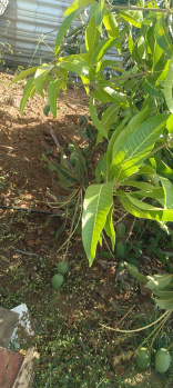Property for sale in Trimbakeshwar, Nashik