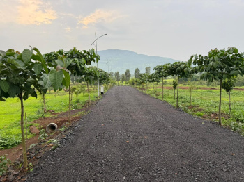 Farmhouse plots mein trimbak Pahine wada bhiwandi road tuch vhery beautiful location opposite harihar fort