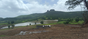Mumbai Highway Igatpuri Shirsathe Shivar Water touch farmhouse plots ang panoramic mountain view