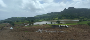 Igatpuri Shirsathe Shivar farmhouse plots water touch with all luxurious amenities