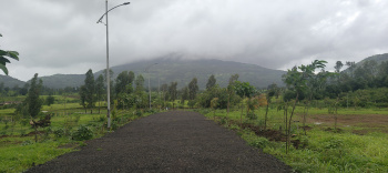 Trimbak wada bhivandi Road take harsh Shivar opposite harihar fort vhery beautiful location with all amenities