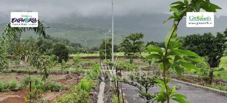 Residential Plot for Sale in Trimbakeshwar, Nashik (4844 Sq.ft.)