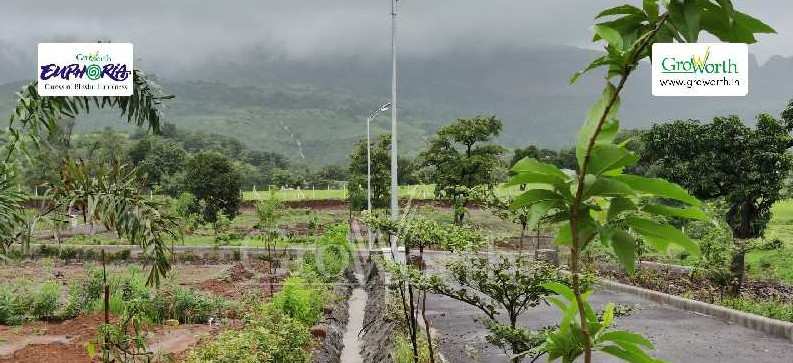 Residential Plot For Sale In Trimbakeshwar, Nashik (4844 Sq.ft.)