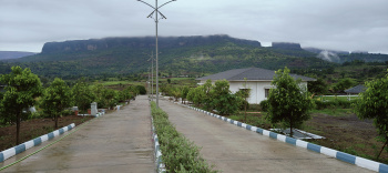 Residential Plot for Sale in Trimbakeshwar, Nashik (4844 Sq.ft.)