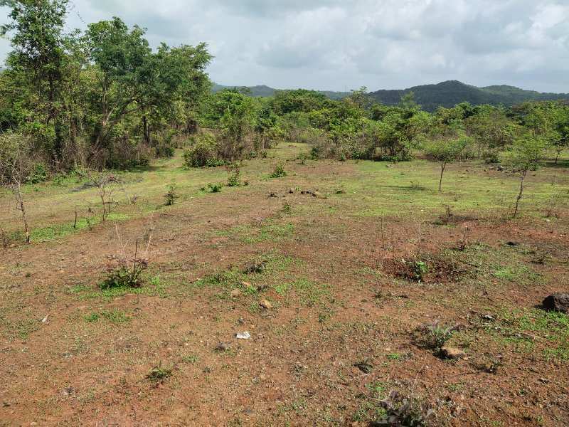 280 Acre Agricultural/Farm Land for Sale in Chiplun, Ratnagiri