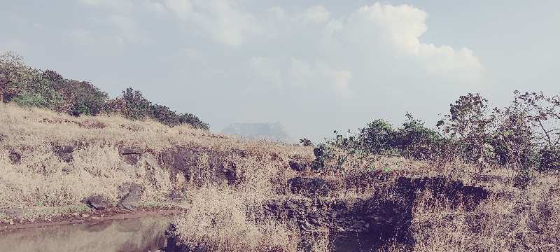 10 Acre Commercial Lands /Inst. Land for Sale in Mangaon, Raigad