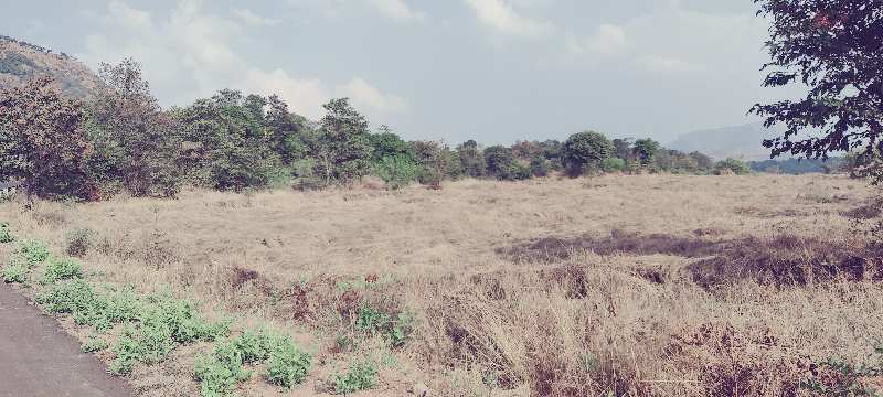 10 Acre Commercial Lands /Inst. Land for Sale in Mangaon, Raigad