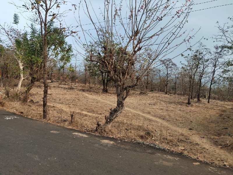 2.5 Acre Commercial Lands /Inst. Land for Sale in Mandangad, Ratnagiri