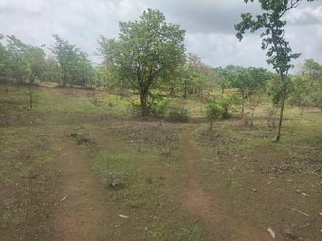 200 Acre Industrial Land / Plot for Sale in Mangaon, Raigad