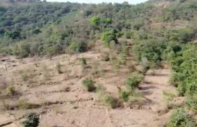 50 Acre Agricultural/Farm Land for Sale in Chiplun, Ratnagiri
