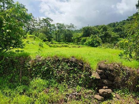500 Acre Agricultural/Farm Land for Sale in Chiplun, Ratnagiri
