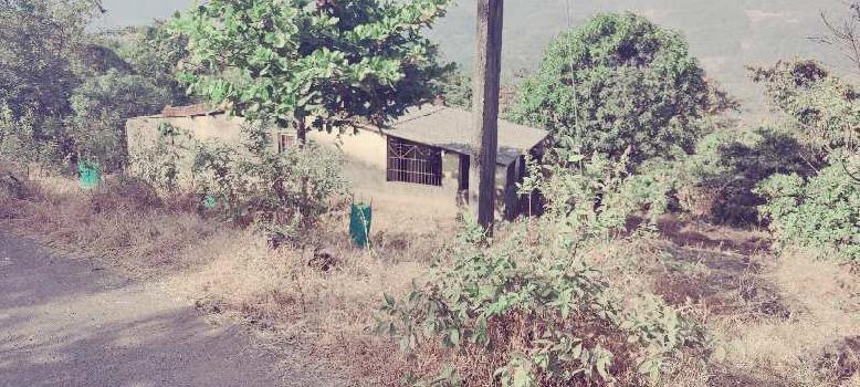 1 Acre Agricultural/Farm Land for Sale in Mahad, Raigad