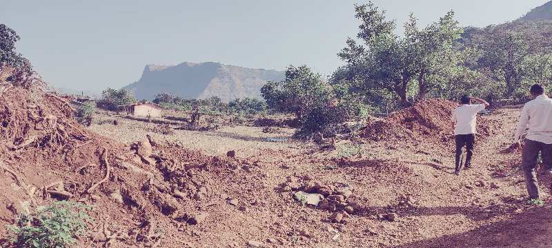 15 Acre Agricultural/Farm Land for Sale in Alibag, Raigad