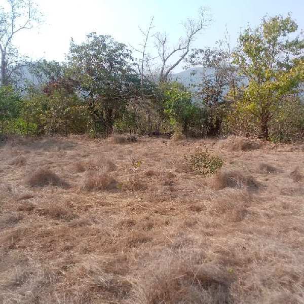 300 Acre Agricultural/Farm Land for Sale in Mandangad, Ratnagiri