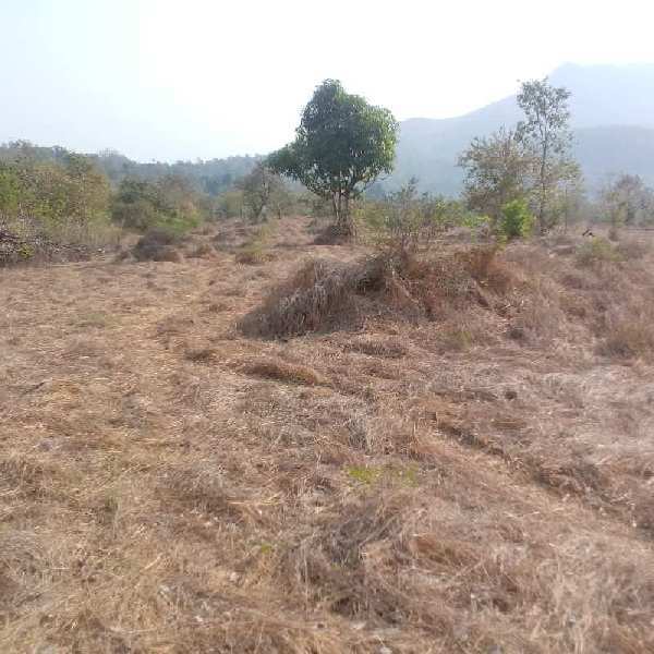 300 Acre Agricultural/Farm Land for Sale in Mandangad, Ratnagiri