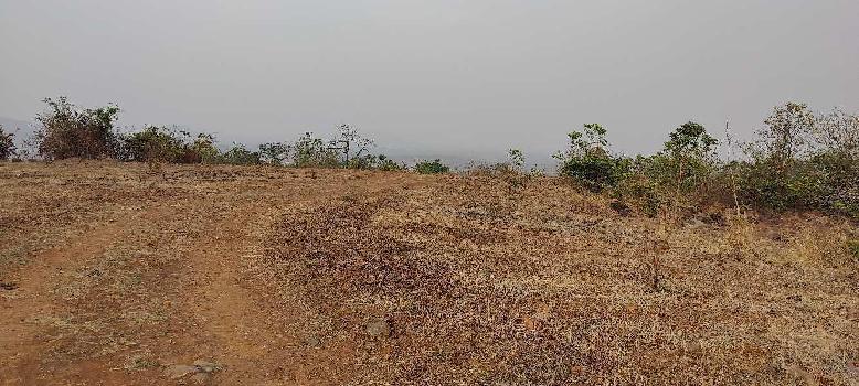 1500 Acre Agricultural/Farm Land for Sale in Mahad, Raigad