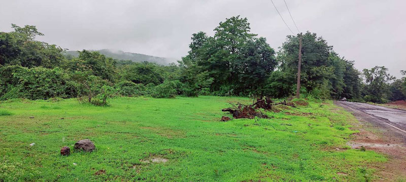 20 Guntha Commercial Lands /Inst. Land for Sale in Mahad, Raigad