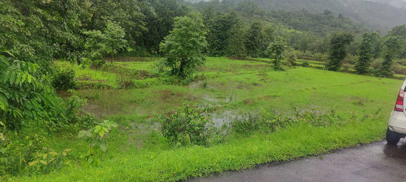 50 Acre Agricultural/Farm Land for Sale in Poladpur, Raigad