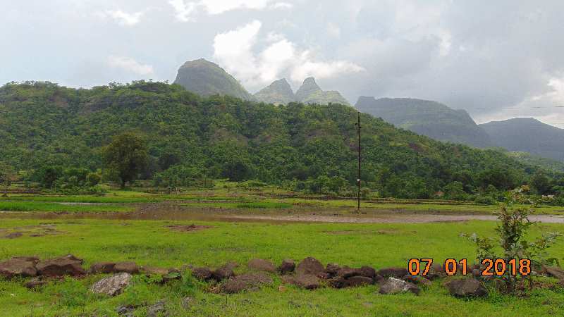 Agricultural/Farm Land for Sale in Maharashtra (500 Acre)