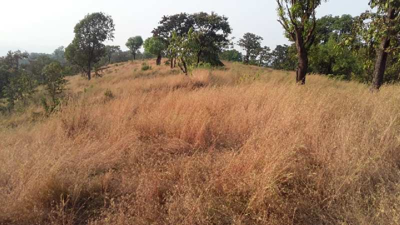 Agricultural/Farm Land for Sale in Maharashtra (100 Acre)