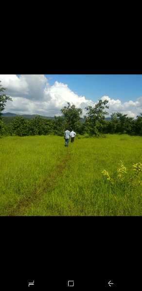 Agricultural/Farm Land for Sale in Maharashtra