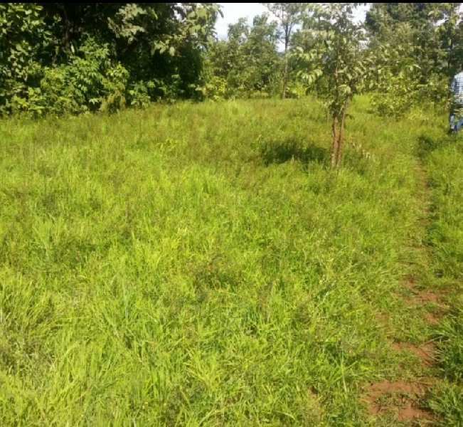 Agricultural/Farm Land for Sale in Maharashtra