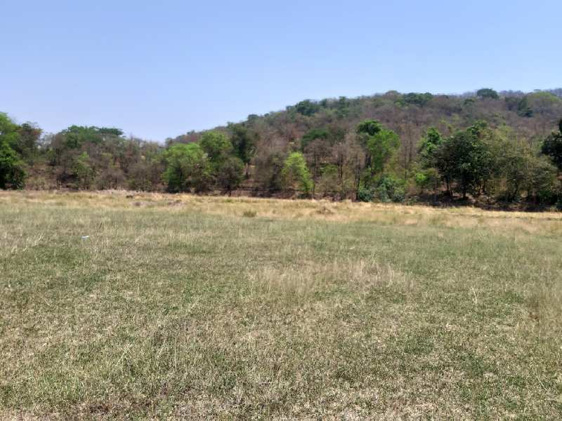 Residential Plot for Sale in Mahad, Raigad