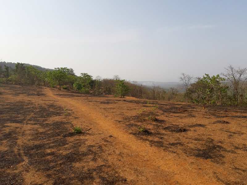 Agricultural/Farm Land for Sale in Mahad, Raigad (10 Acre)