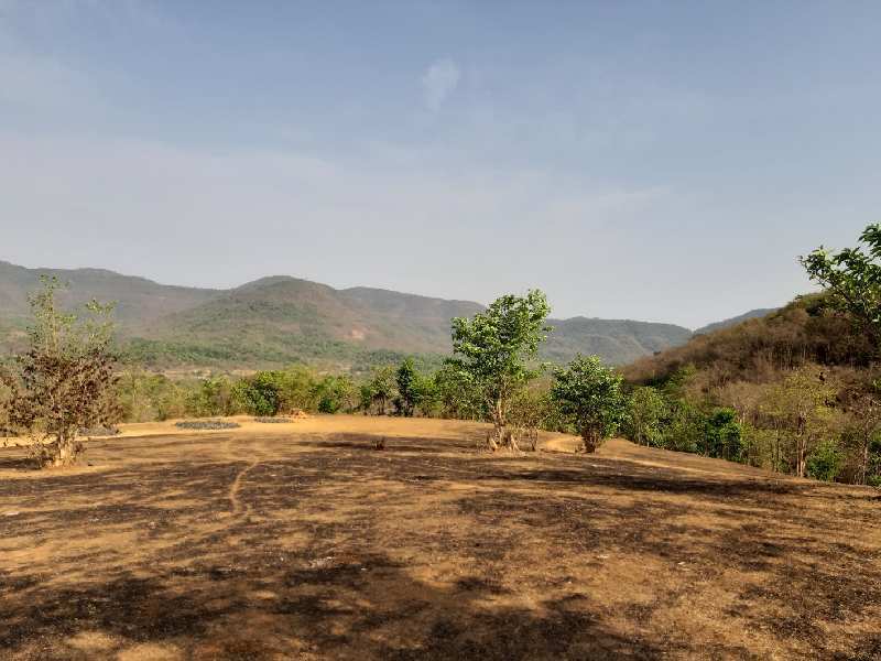 Agricultural/Farm Land for Sale in Mahad, Raigad (10 Acre)