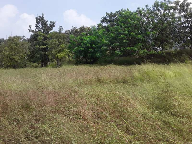 Agricultural/Farm Land for Sale in Mahad, Raigad (2 Acre)