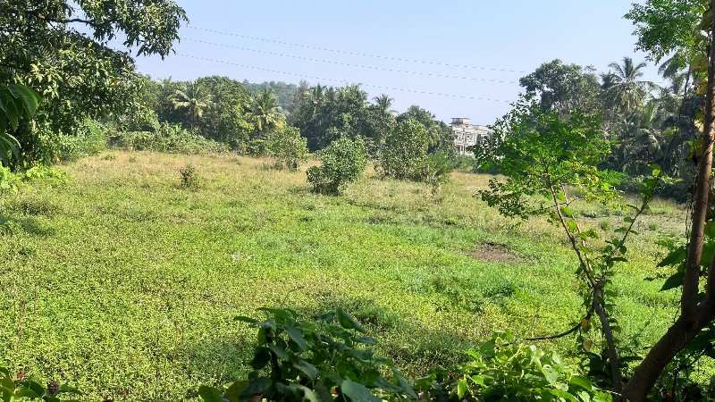 Commercial Lands /Inst. Land for Sale in Shrivardhan, Raigad