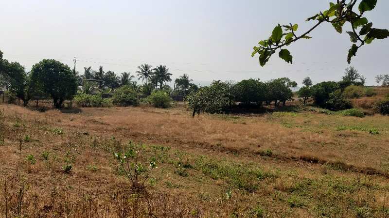 4 Acre Commercial Lands /Inst. Land for Sale in Shrivardhan, Raigad