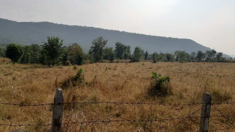 2 Acre Agricultural/Farm Land for Sale in Poladpur, Raigad
