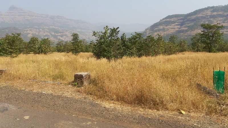 9 Acre Agricultural/Farm Land for Sale in Mahad, Raigad