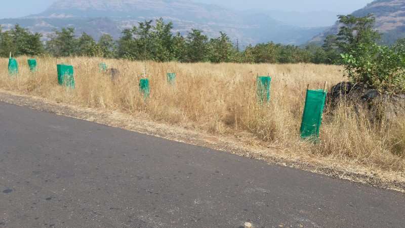 9 Acre Agricultural/Farm Land for Sale in Mahad, Raigad