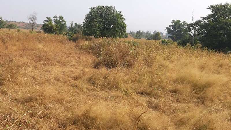 3 Acre Agricultural/Farm Land for Sale in Khopoli, Raigad