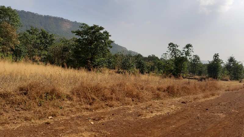 500 Acre Agricultural/Farm Land for Sale in Mahad, Raigad