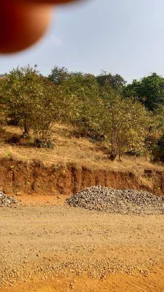 4 Acre Agricultural/Farm Land for Sale in Poladpur, Raigad