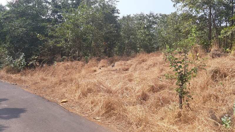 8 Acre Agricultural/Farm Land for Sale in Poladpur, Raigad