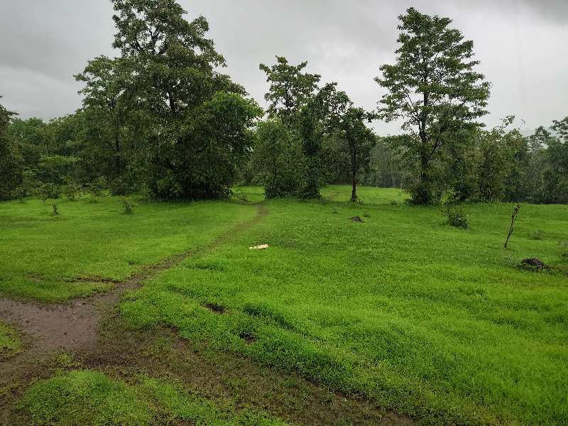 3 Acre Agricultural/Farm Land for Sale in Mahad, Raigad