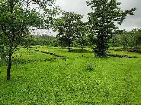 5 Acre Agricultural/Farm Land for Sale in Mahad, Raigad