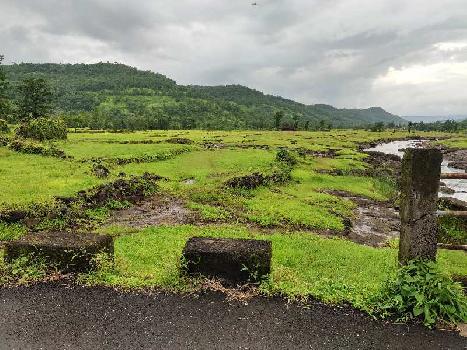 72 Acre Agricultural/Farm Land for Sale in Mahad, Raigad