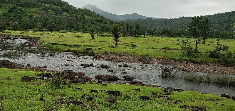 72 Acre Agricultural/Farm Land for Sale in Mahad, Raigad