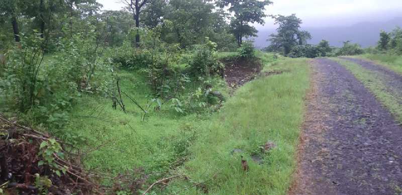 2000 Acre Agricultural/Farm Land for Sale in Chiplun, Ratnagiri