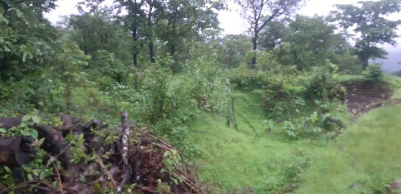 2000 Acre Agricultural/Farm Land for Sale in Chiplun, Ratnagiri