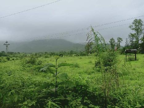 170 Acre Agricultural/Farm Land for Sale in Khed Ratnagiri, Ratnagiri