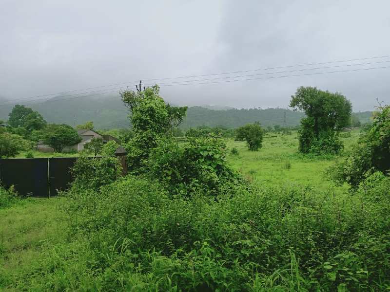 170 Acre Agricultural/Farm Land for Sale in Khed Ratnagiri, Ratnagiri
