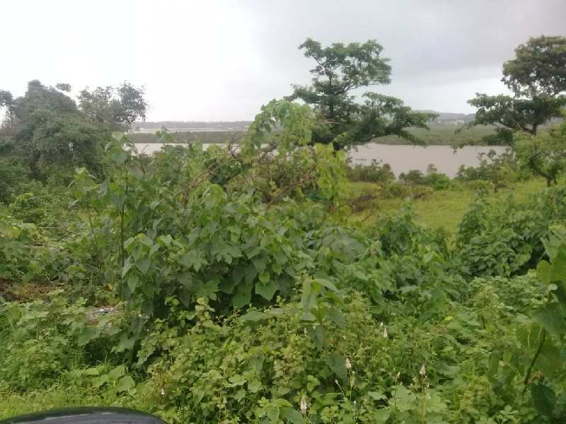 22 Guntha Agricultural/Farm Land for Sale in Shrivardhan, Raigad
