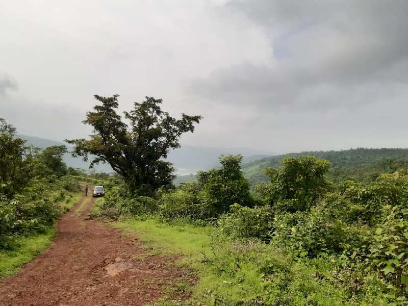500 Acre Industrial Land / Plot for Sale in Mhasla, Raigad